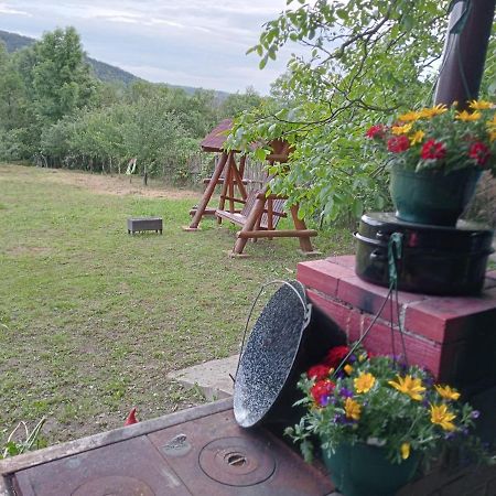 Hello Nature House - Cheile Nerei, Carasului, Garlistei Giurgiova 외부 사진