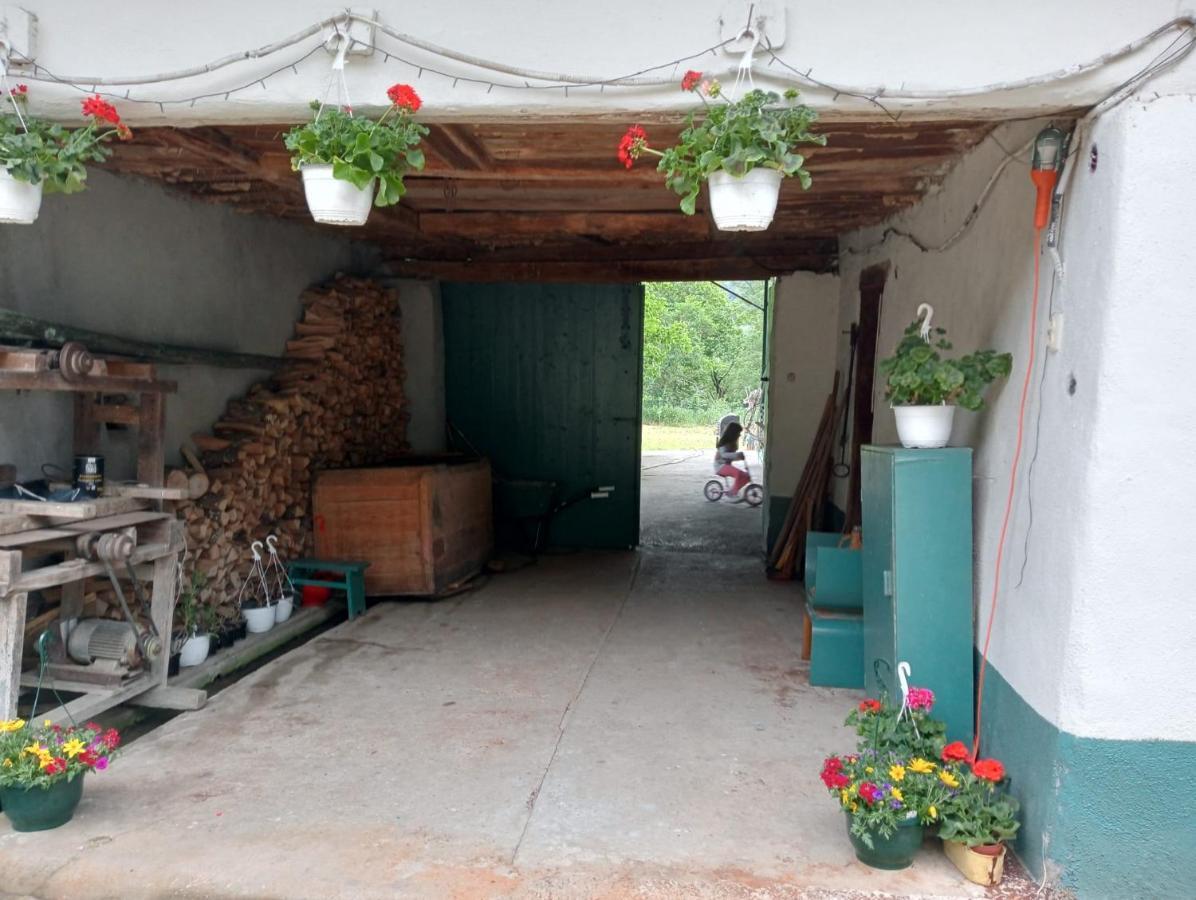 Hello Nature House - Cheile Nerei, Carasului, Garlistei Giurgiova 외부 사진