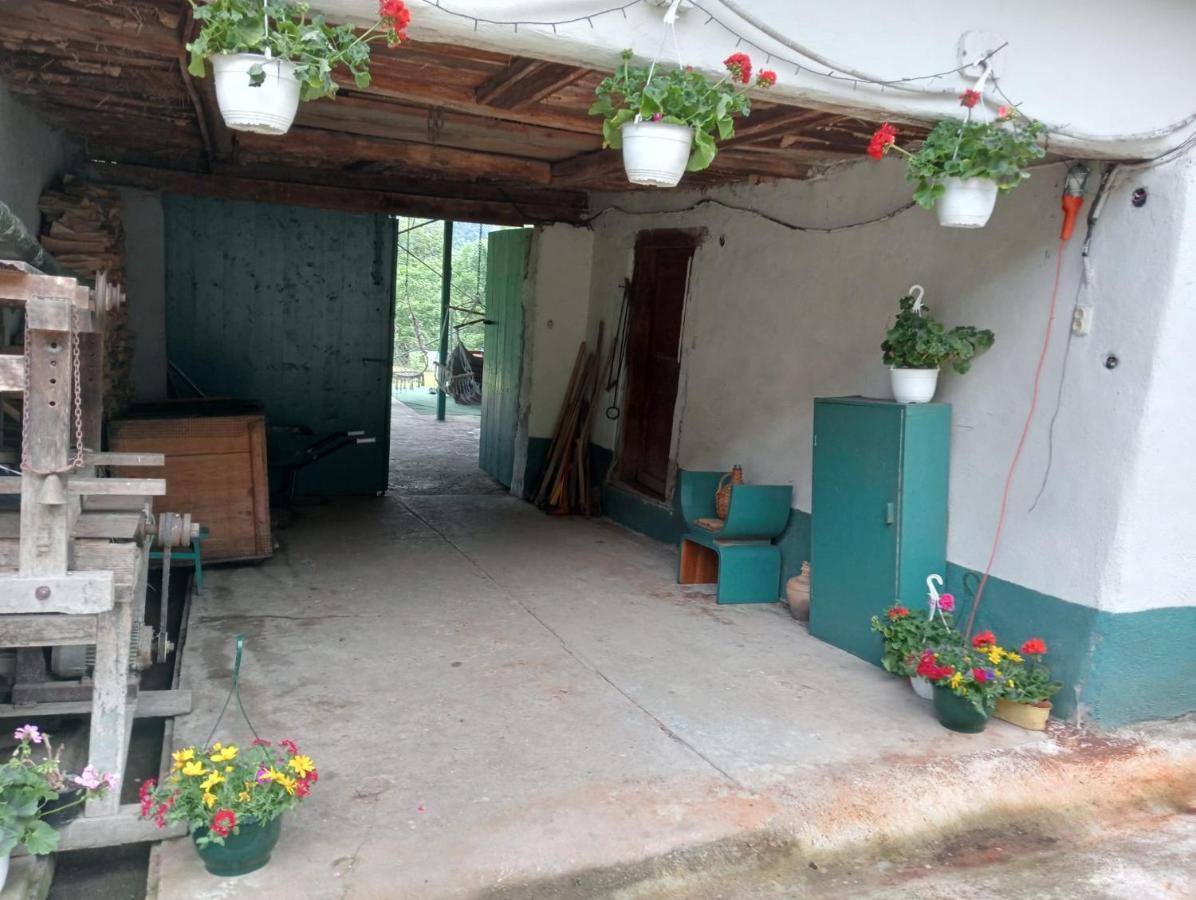 Hello Nature House - Cheile Nerei, Carasului, Garlistei Giurgiova 외부 사진