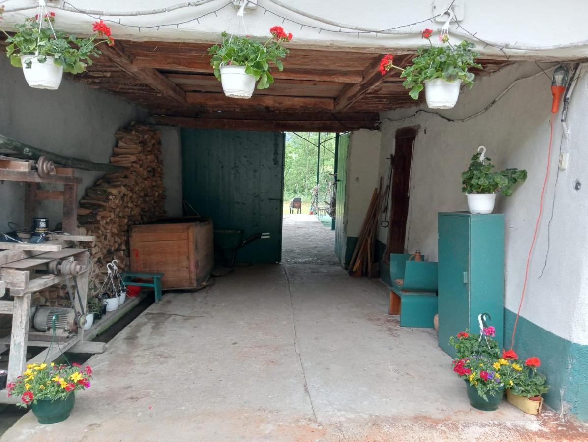 Hello Nature House - Cheile Nerei, Carasului, Garlistei Giurgiova 외부 사진